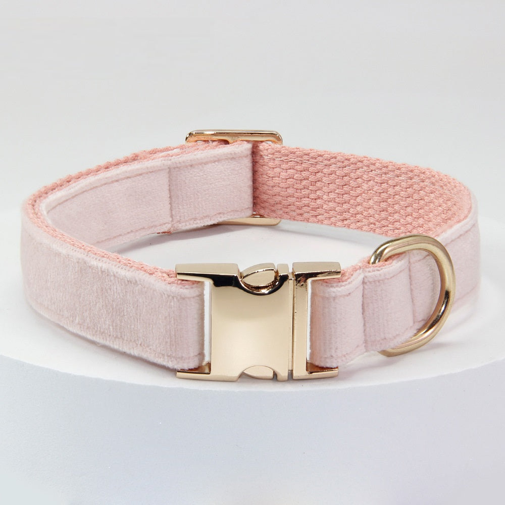 Engraved Anti-Loss Dog Collar And Leash