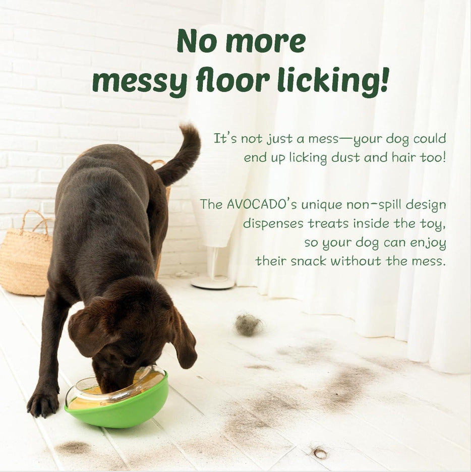 Anti-Tumble Avocado Pet Bowl
