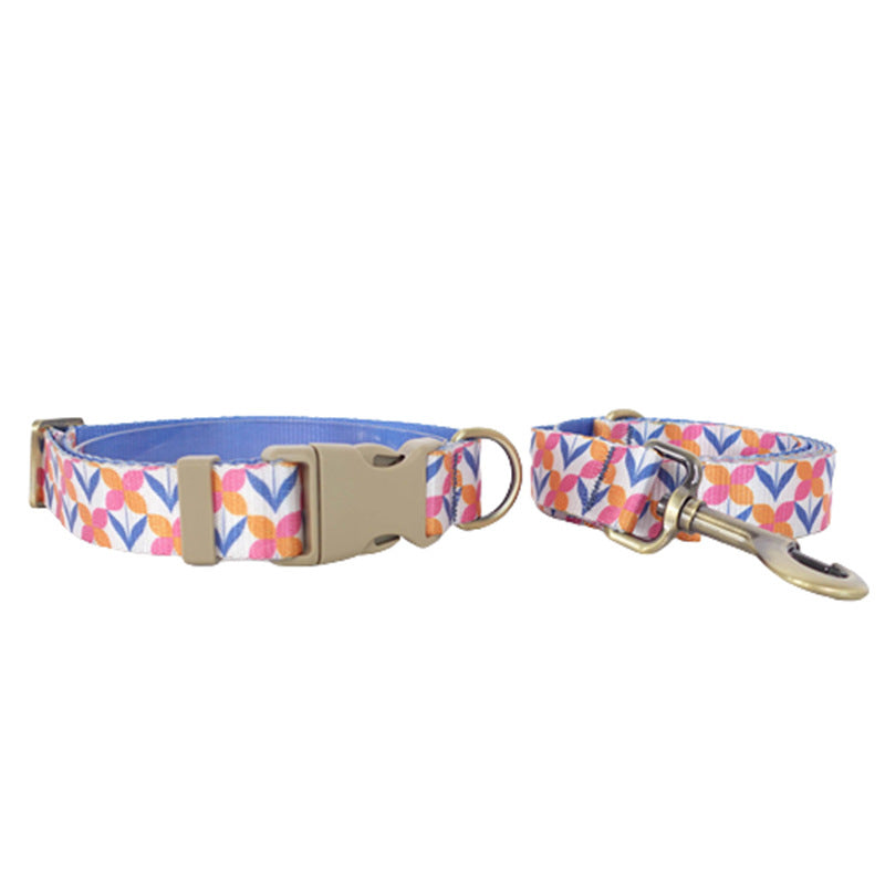 Outdoor Training Dog Collar with Leash