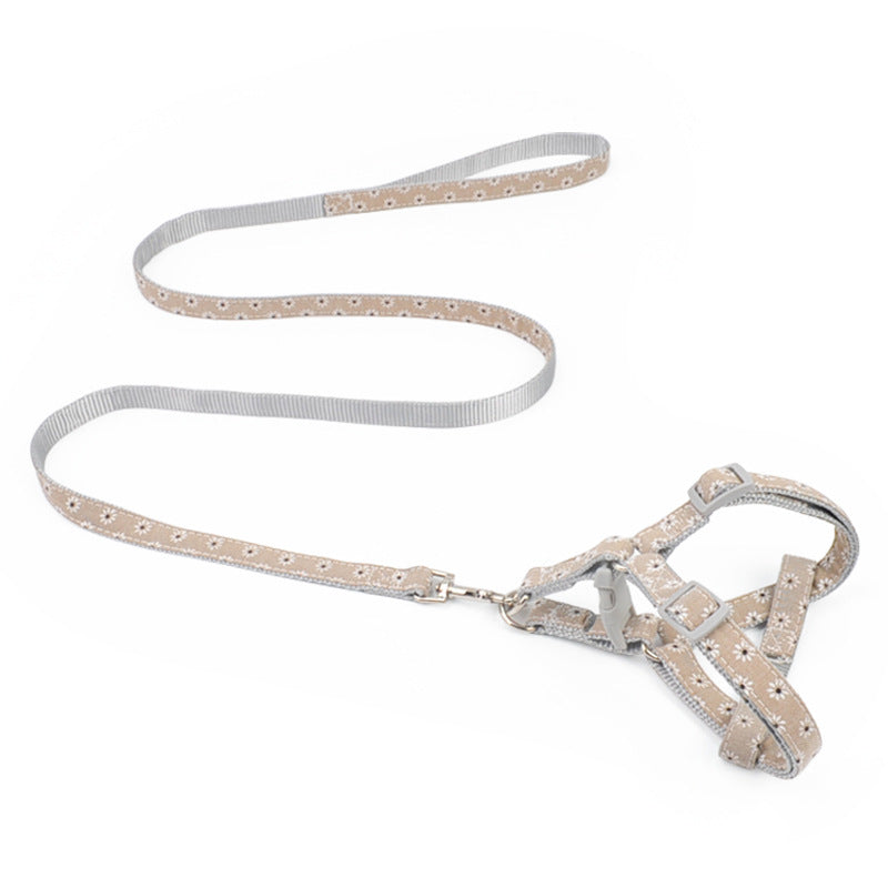 Walking The Dog With Traction Rope On Chest And Back