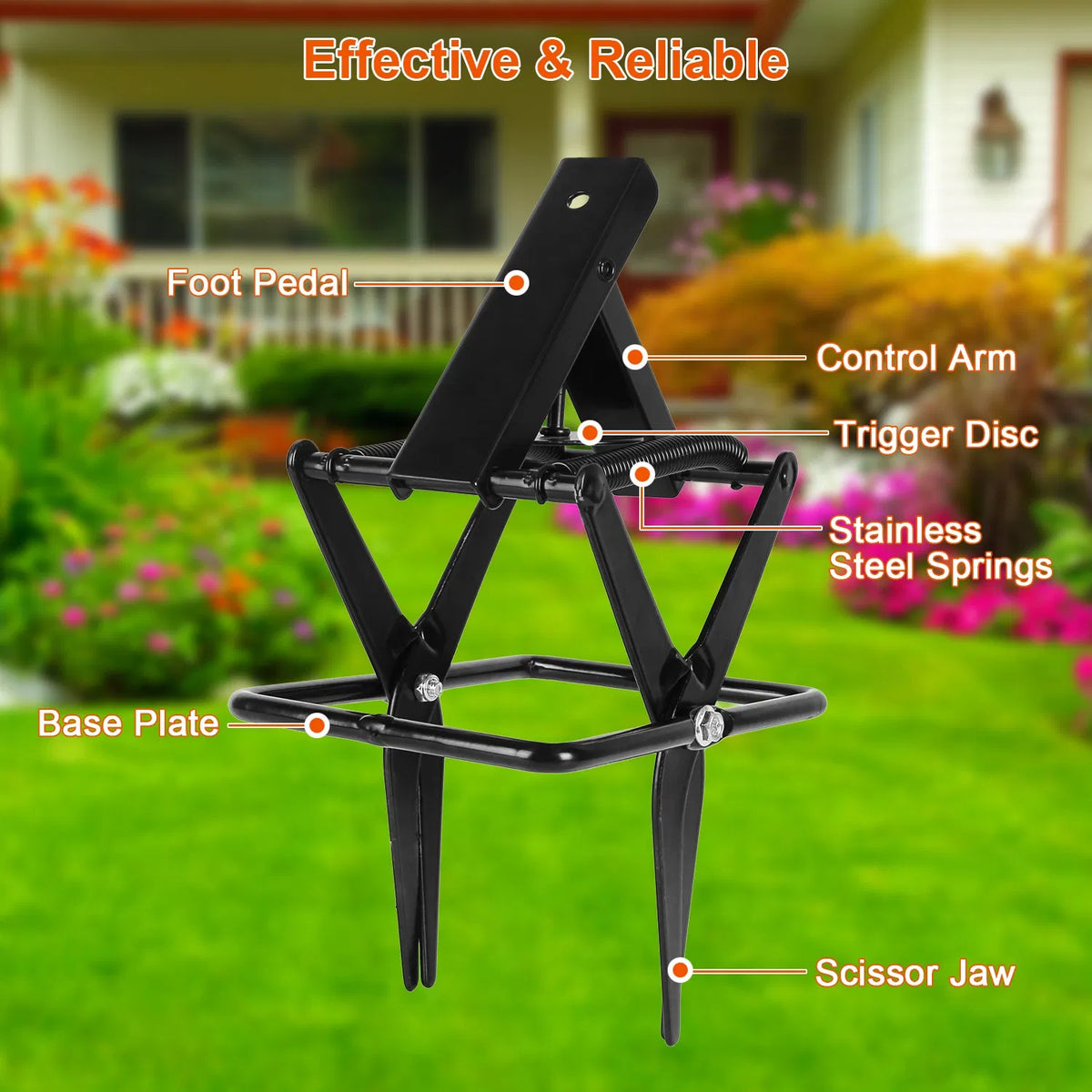 Powerful Mole Snap Trap - Thickened Waterproof Metal, Easy Foot-Step Setup, Humane Instant Kill, Safe For Lawn & Pets