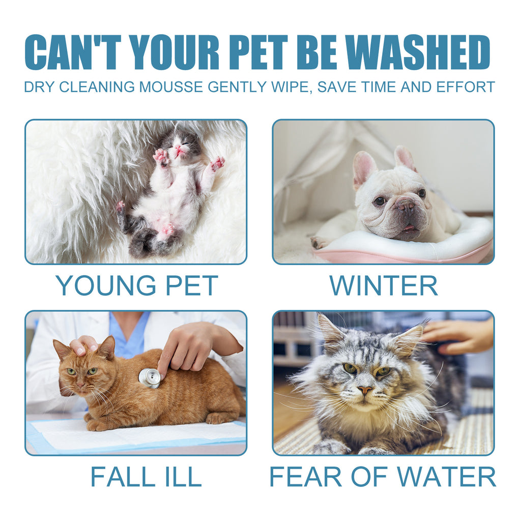 No-Wash Mousse Shampoo for Kittens and Dogs