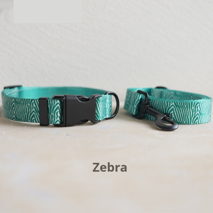 Printed Nylon Dog Collar And Leash Set