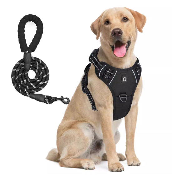 Dog Harness And Leash Combo With Escape Proof Design