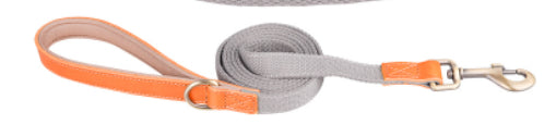 Cowhide Lettering Anti-Lost Dog Collar