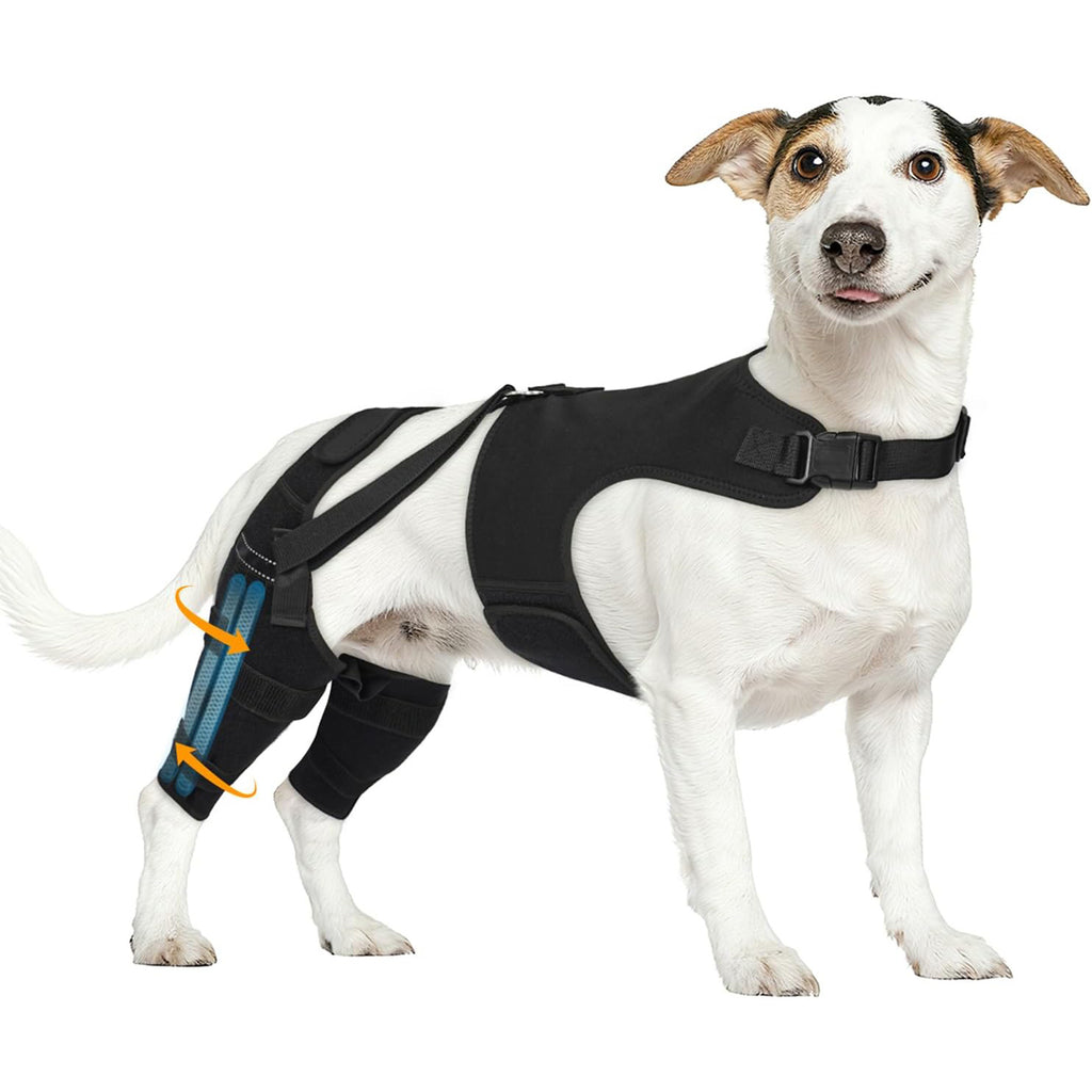 Pet Dog Rear Leg Protective Gear