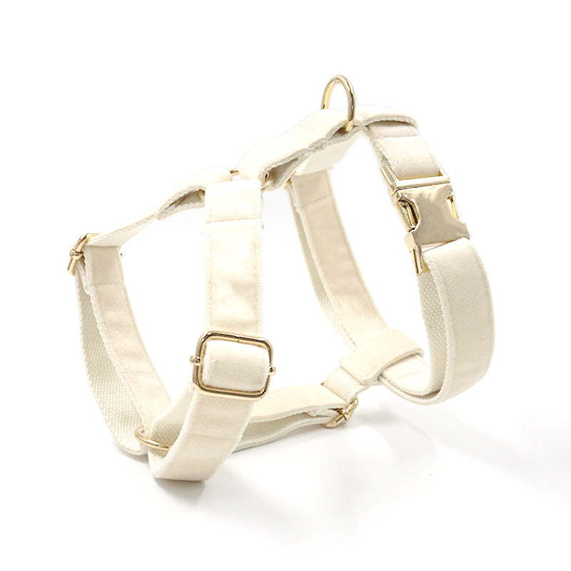Dog Collar Traction Rope