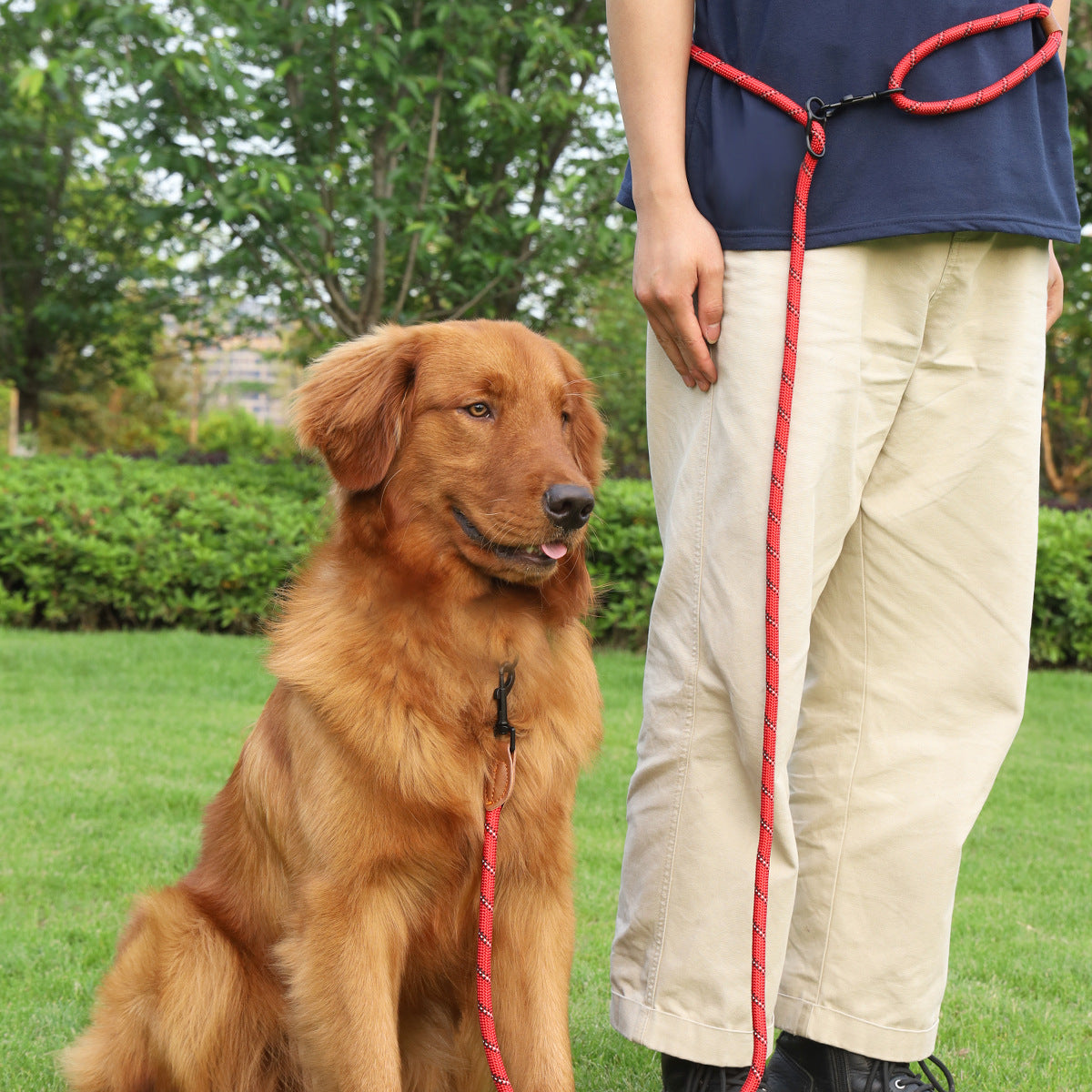 Pet Multifunctional Adjustable Reflective Hand Holding Rope