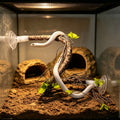 Suction-Cup Simulated Tree Vine Perch