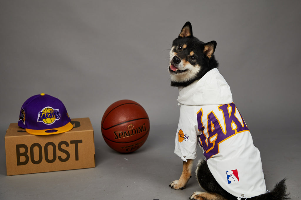 Polyester Dog Shell Jacket