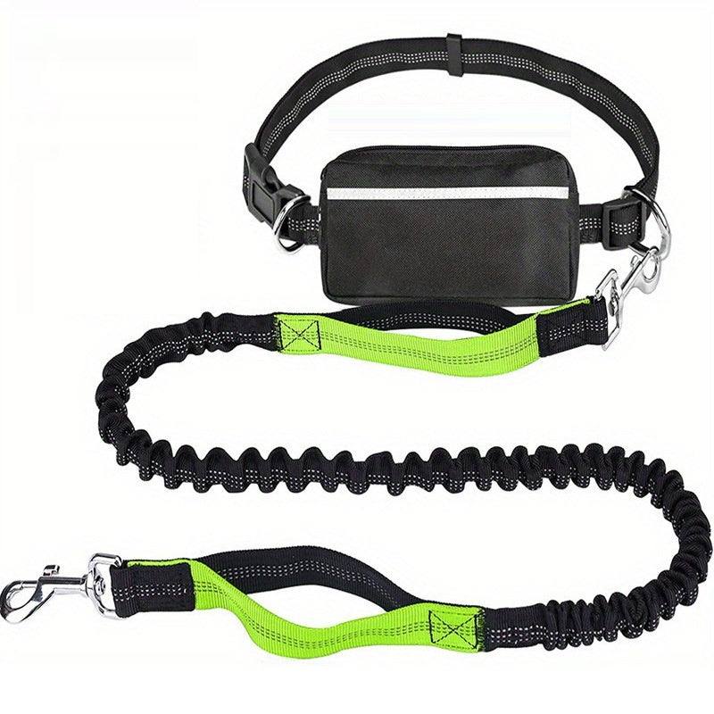 Nylon Waist Bag and Running Leash