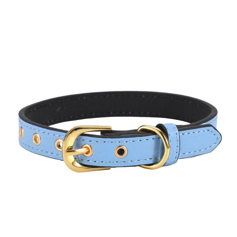 Plain Pet Collar Gold Buckle Pu