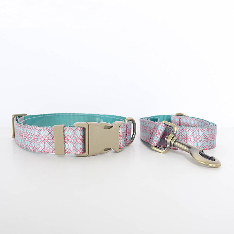 Pet Training Collar And Leash Set
