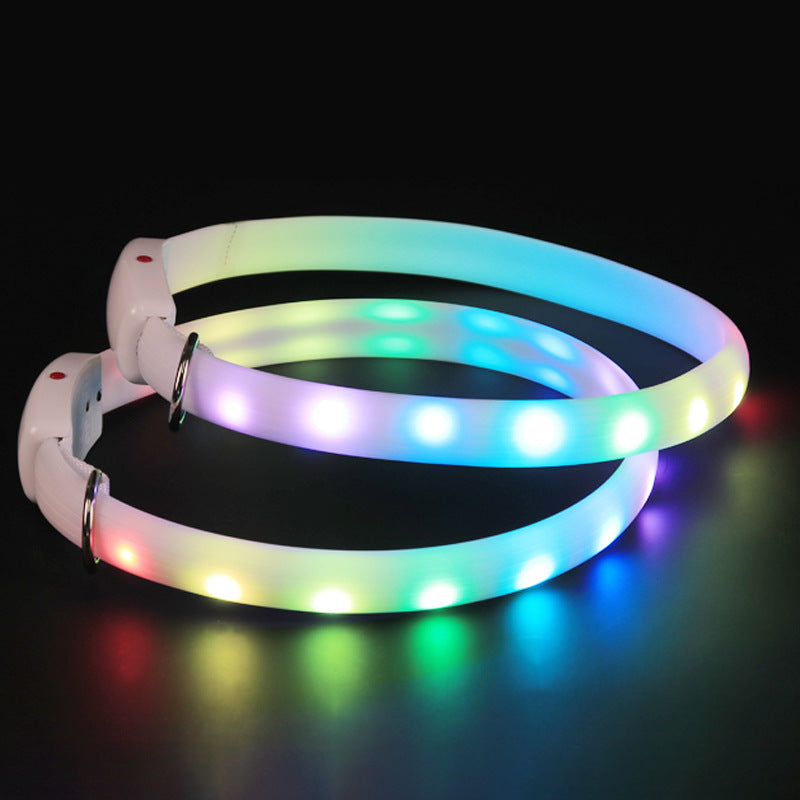 USB Rechargeable LED Dog Collar