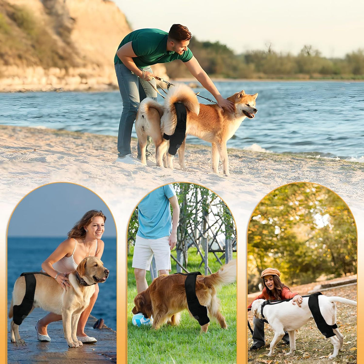 Dog Leg Protector with Knee Brace