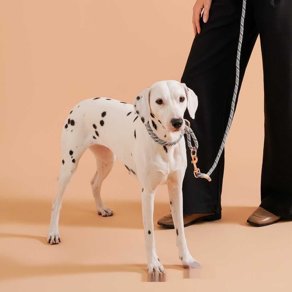 Small Dog Anti-Strangle Stainless Steel Double-Ring Collar Wave