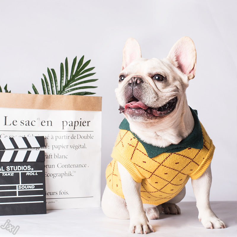 Cotton Dog Sweater