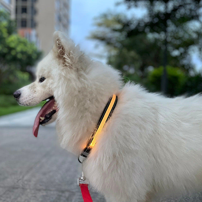 Usb Charging Shiny Dog Collar