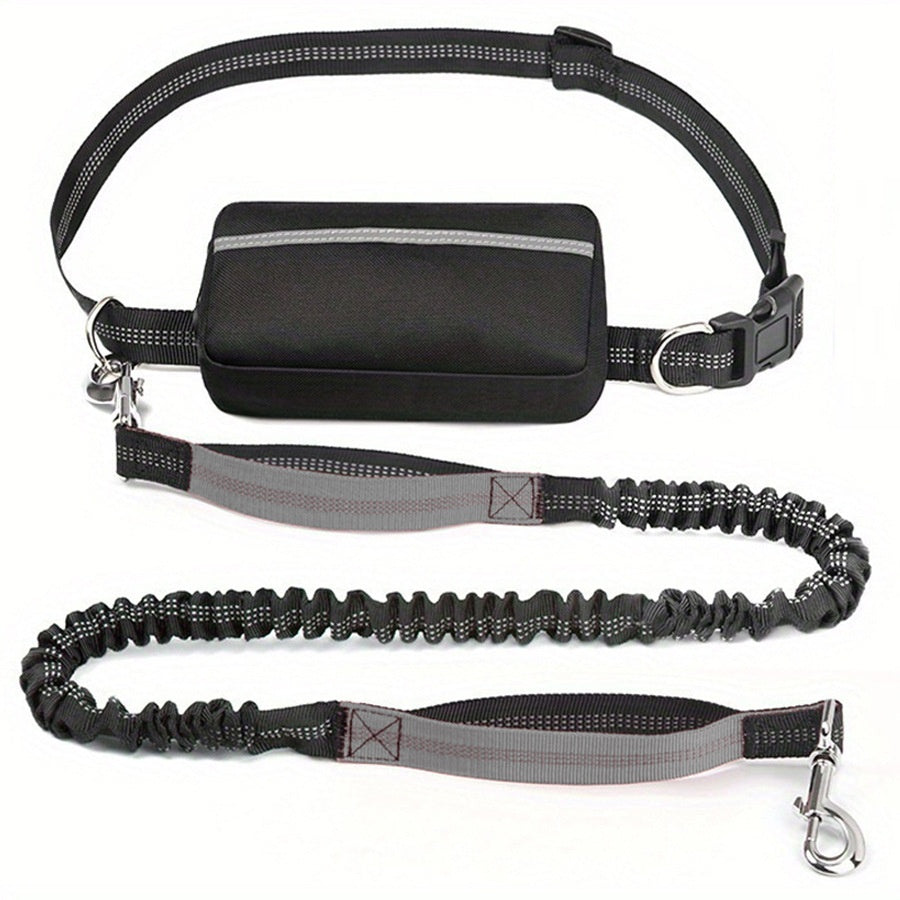 Nylon Waist Bag and Running Leash