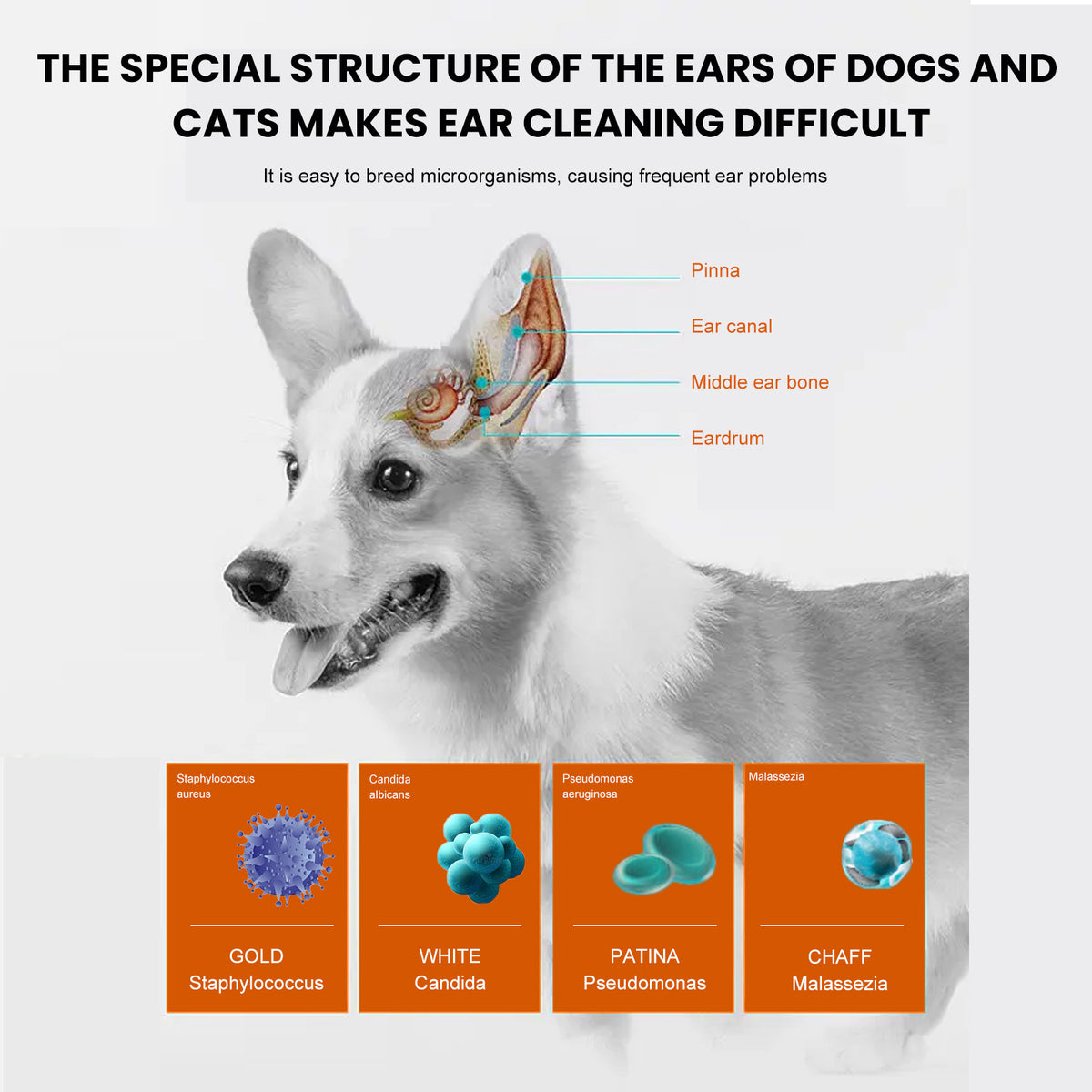Gentle Pet Cleaning Wipes