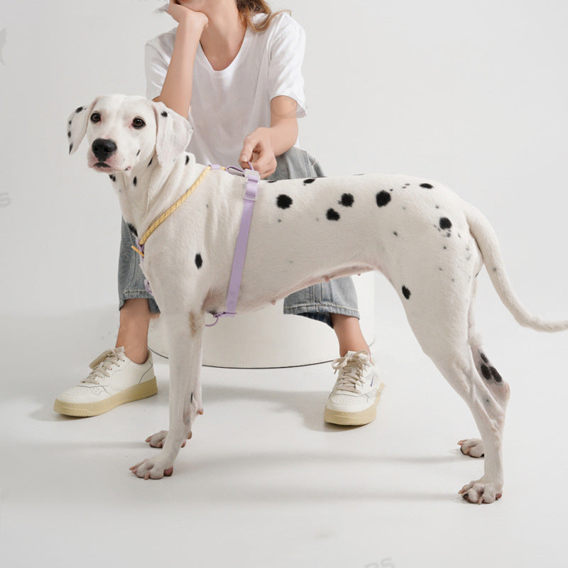 Dog Traction Vest-Style Pet'S Chest-Back Suit