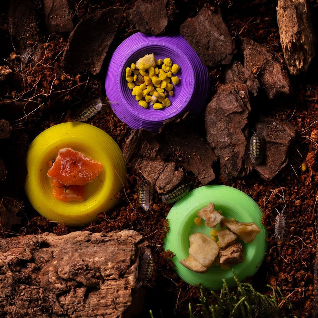 Mini Feeding Dishes For 12 Dubia Roach Food Bowls