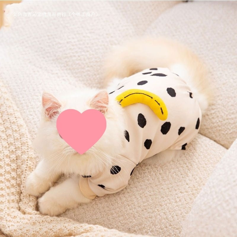 Cute Anti-Lint Kitty Clothes