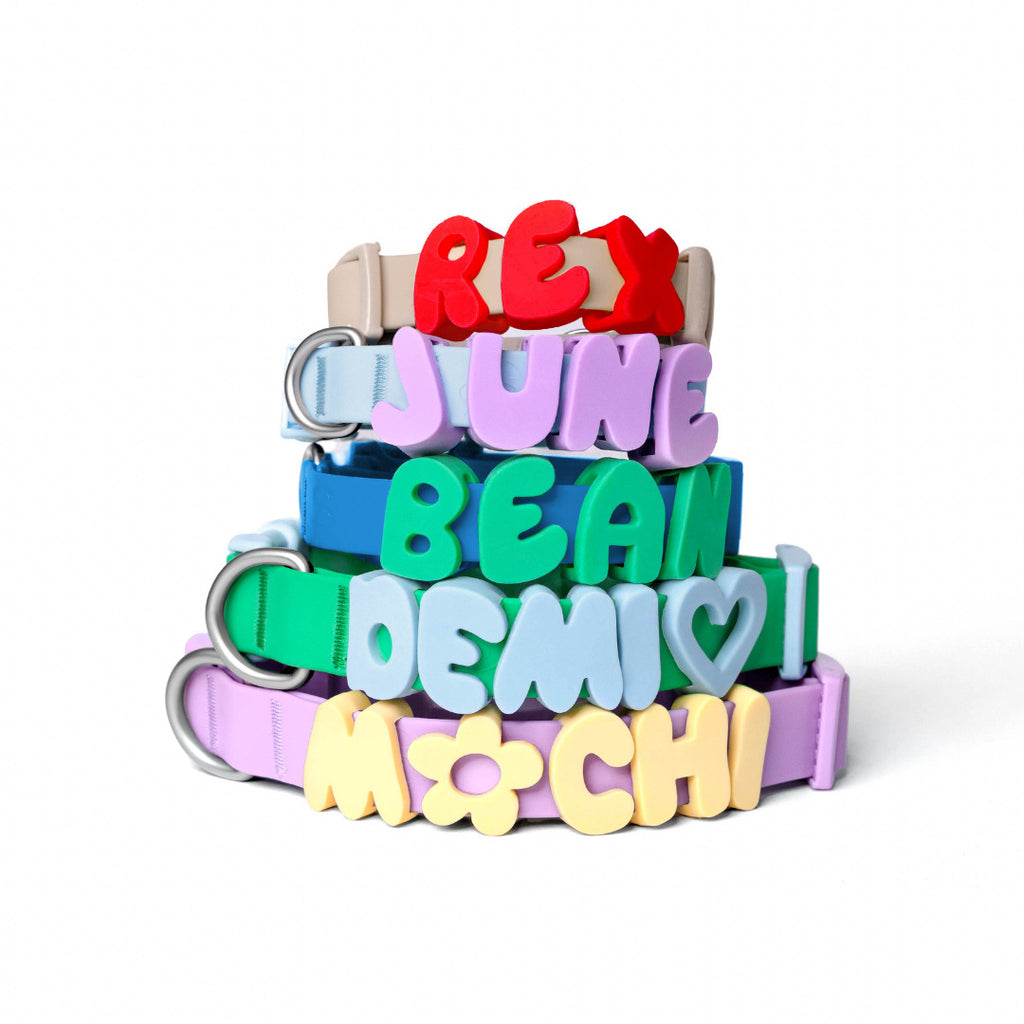 Personalized Name Collar English Letter Traction Rope Letter