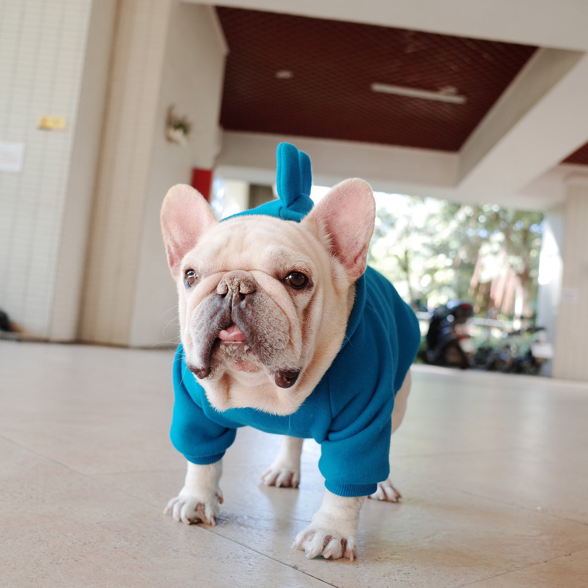 Fleece Pet Hooded Sweater