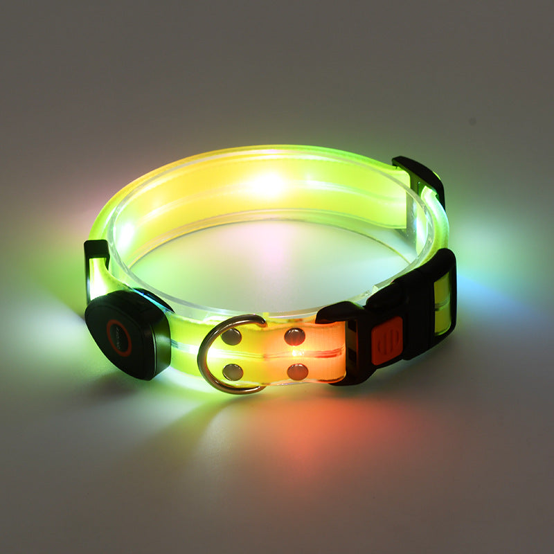 Rechargeable LED Collar and Nylon Leash