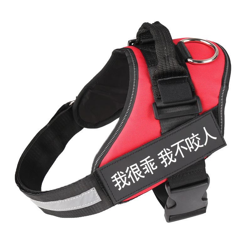 Dog Chain Leash Rope
