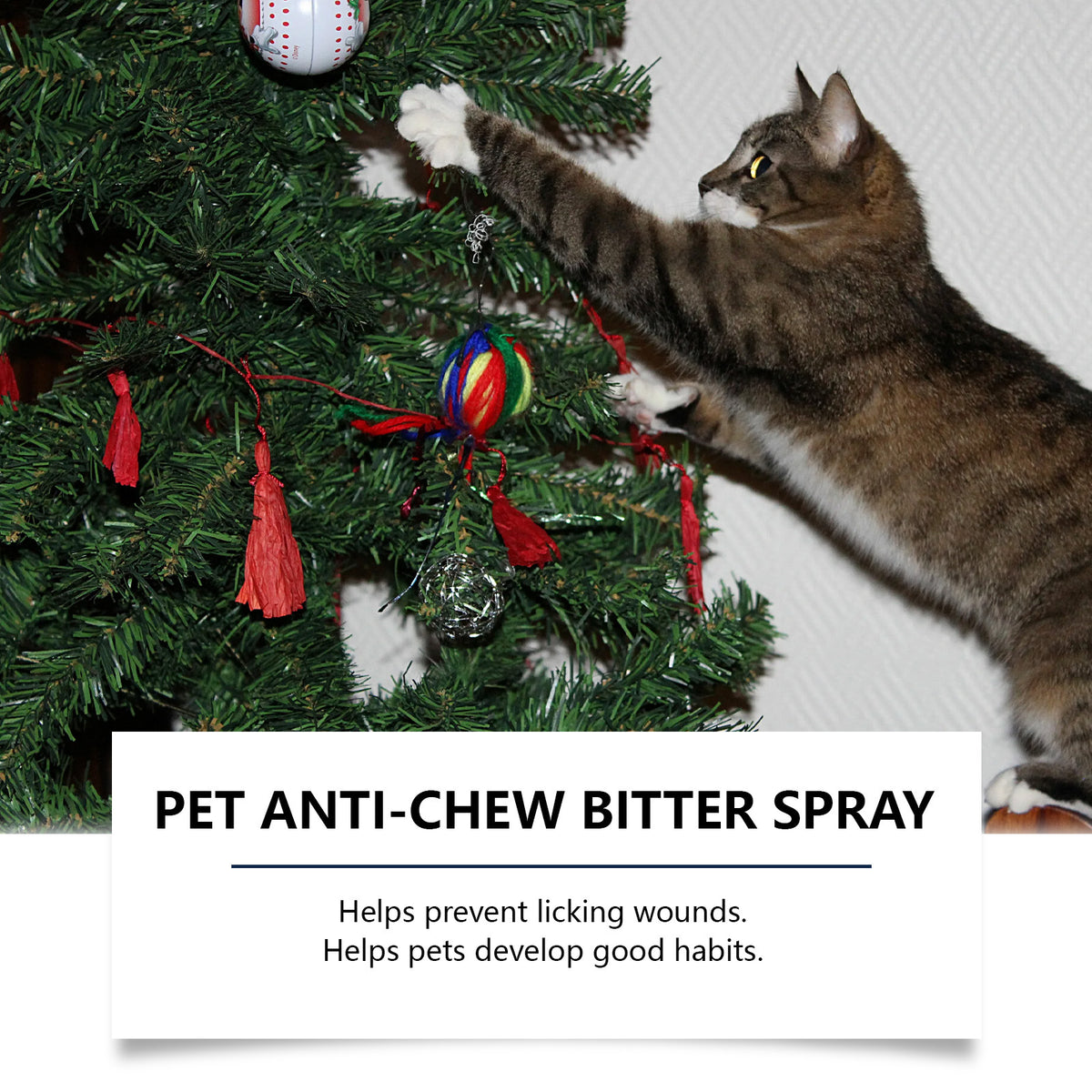 Bone-Shaped Pet Chew Toy