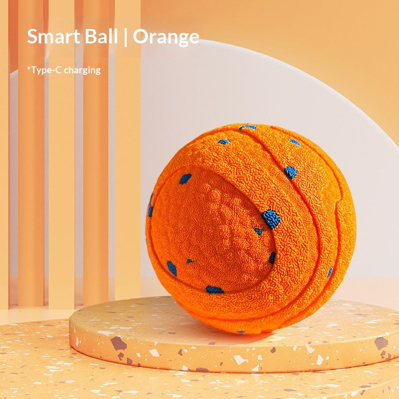 Smart Bouncing Ball Dog Toy
