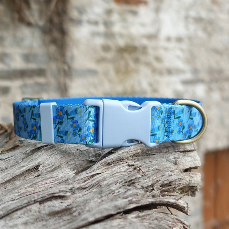 Lightweight Pet Collar with Blue Plastic Buckle