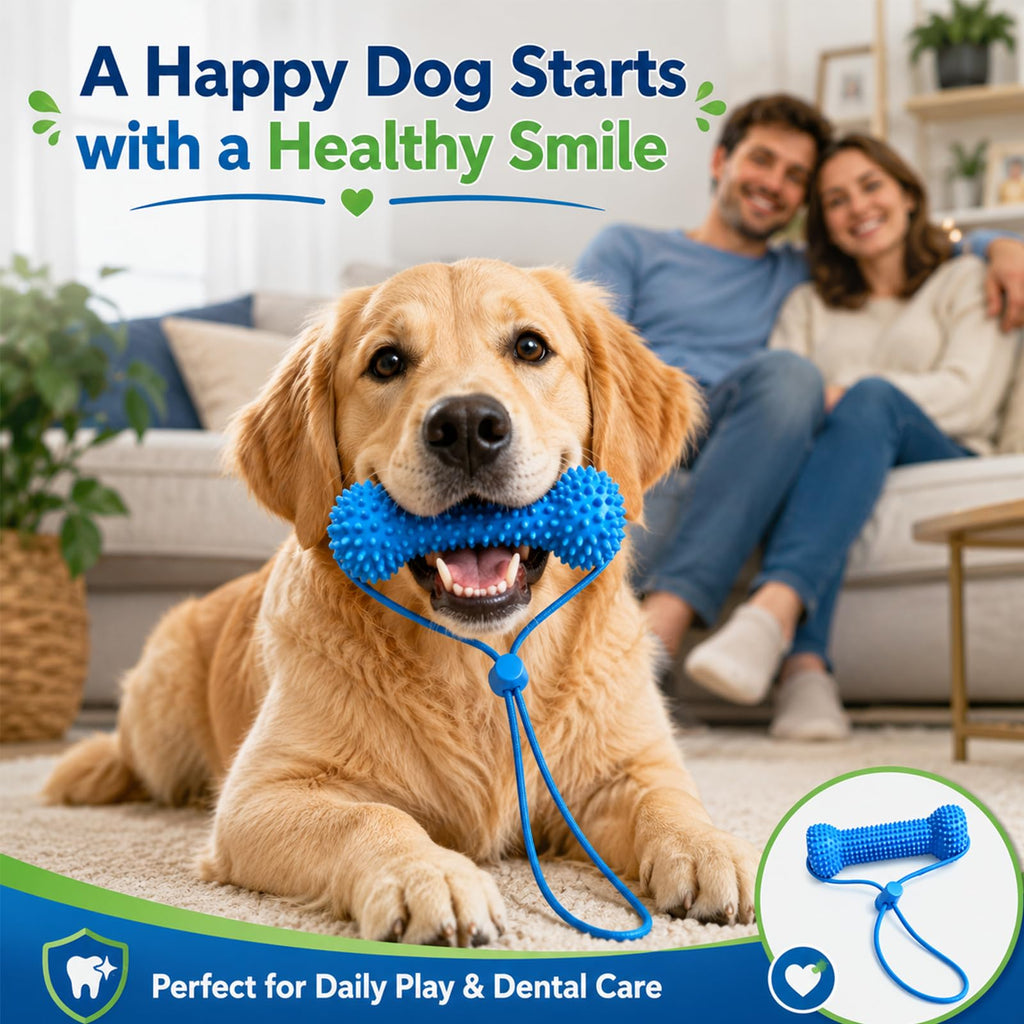 Chew And Brush Dog Toy