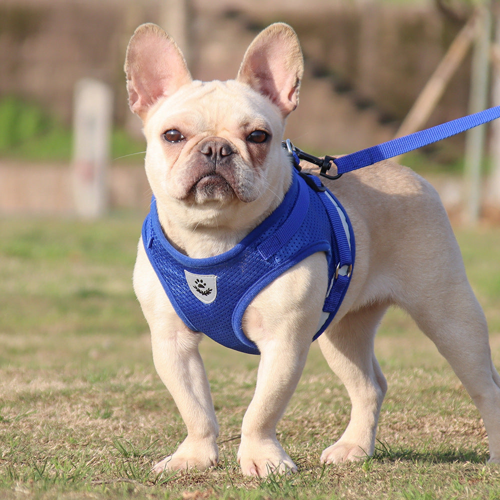 Fashion Personality Pet Dog Summer Chest Strap