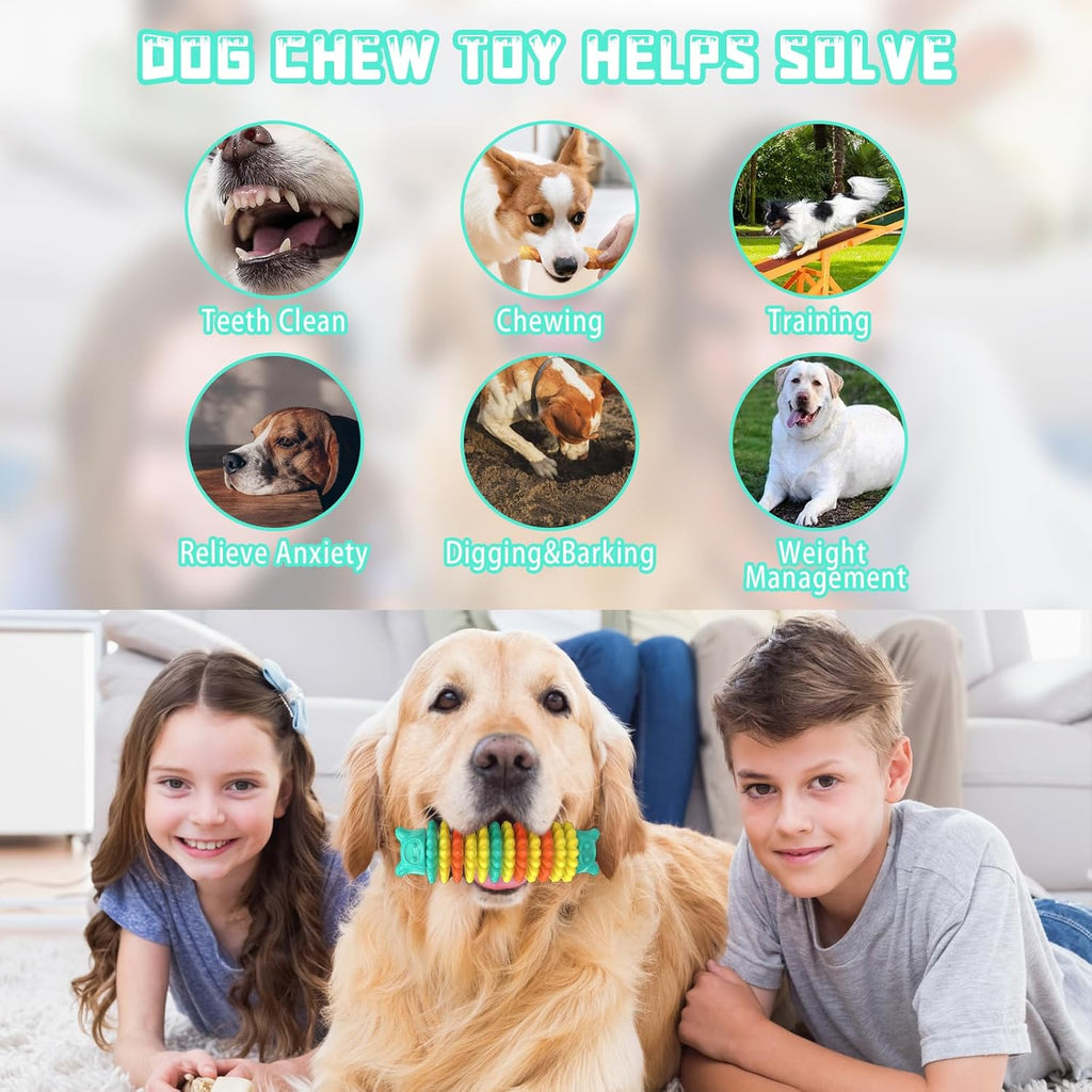 Rubber Caterpillar Dog Chew Toy