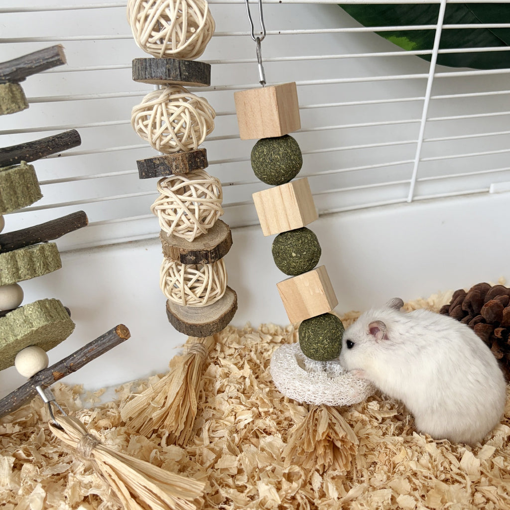 Three-Piece Chew Toy Set for Small Pets