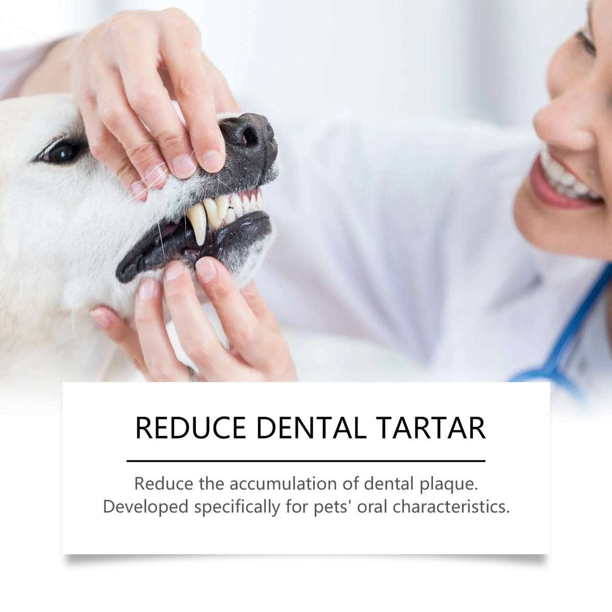 Pet Teeth Cleaning Powder