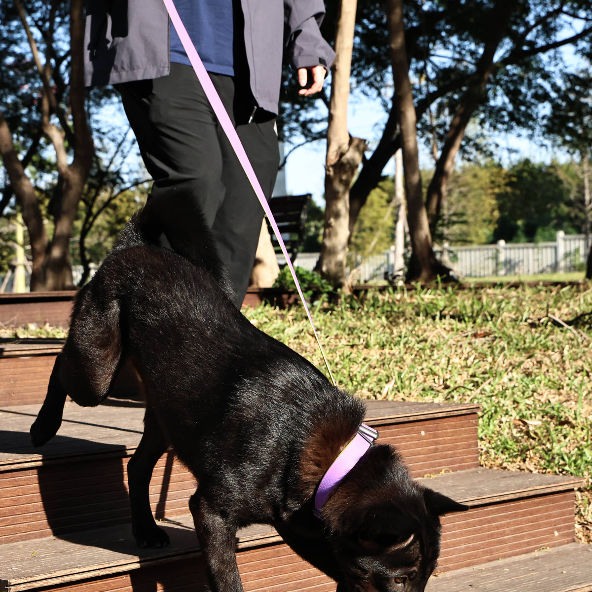 Honeycomb Embossed Dual-Color Pet Leash Set Is Stylish And Fashionable. The Embossed Surface Enhances The Leash'S Grip, Preventing Slippage