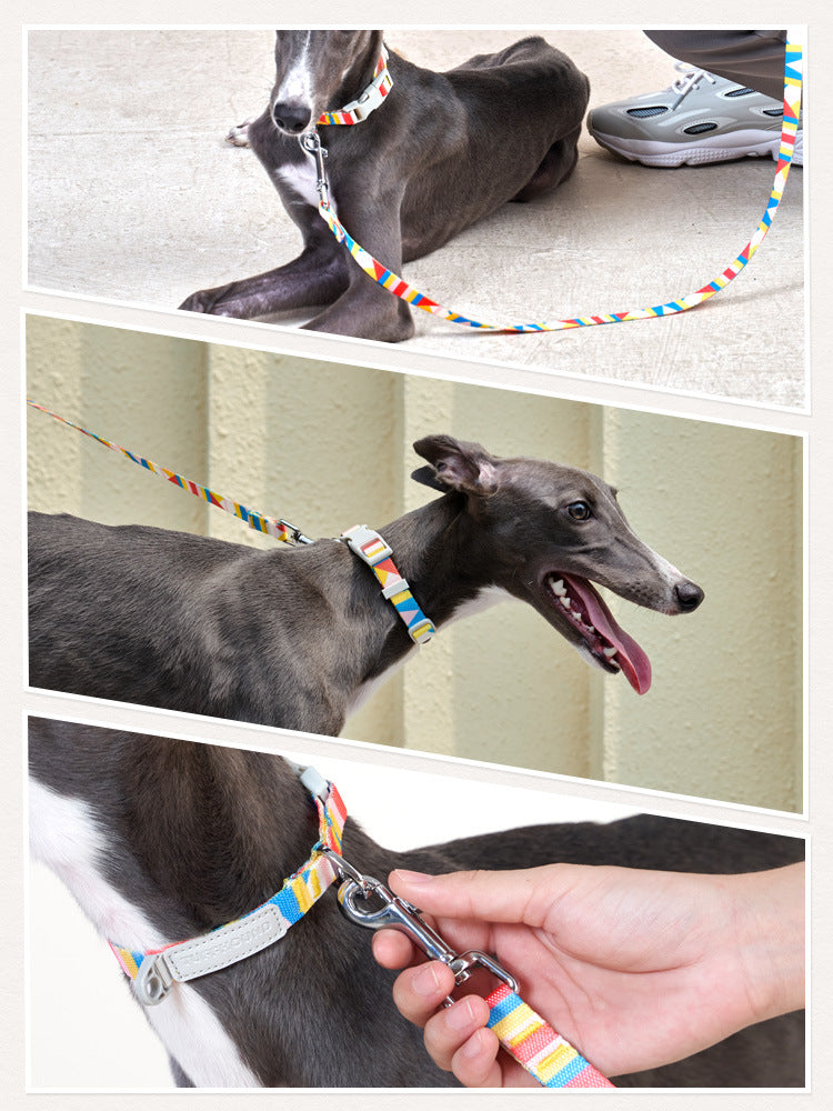 Nylon Dog Traction Belt