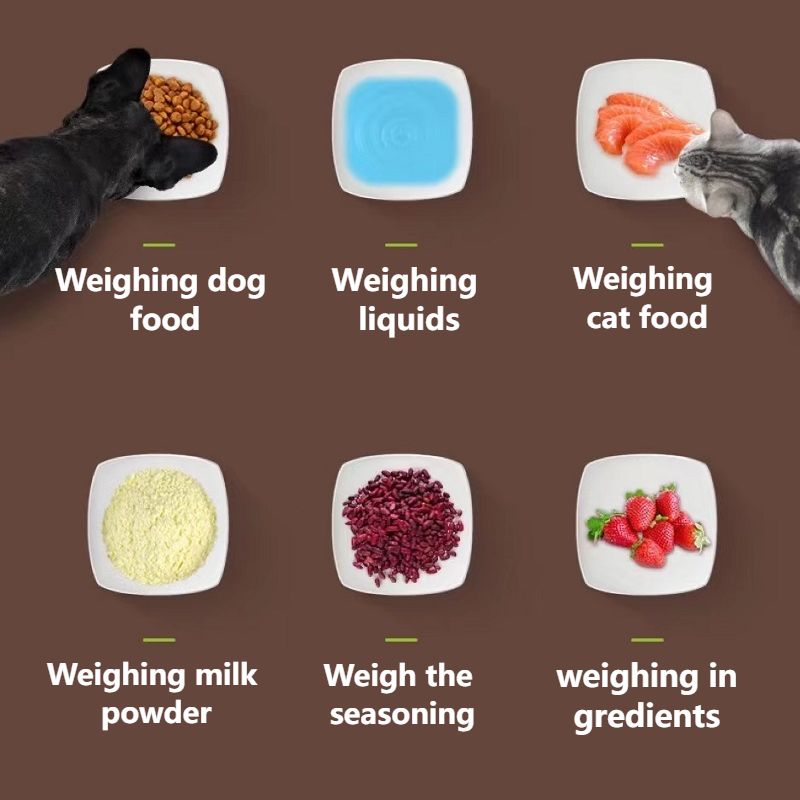 Transparent Pet Food Spoon With Scale