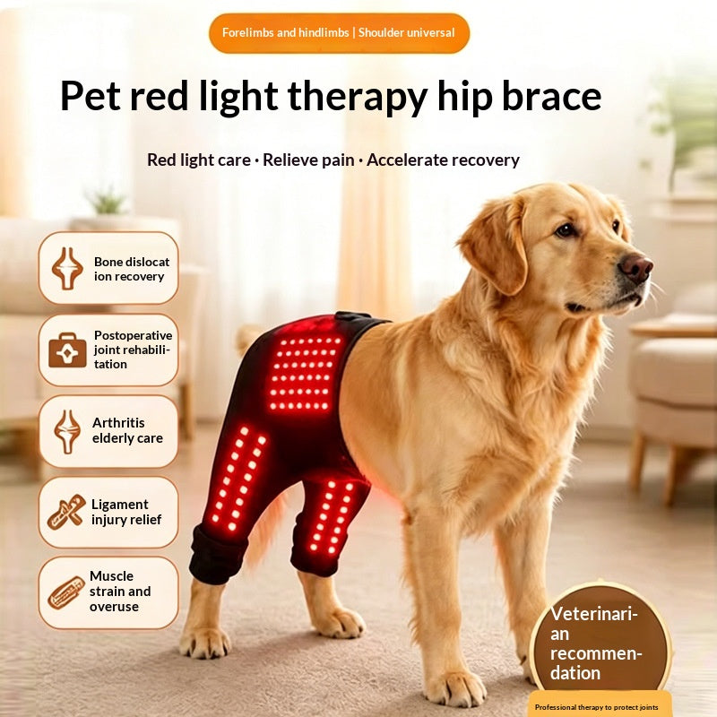 Dual-Use Pet Front Rear Limb Hip Care Band
