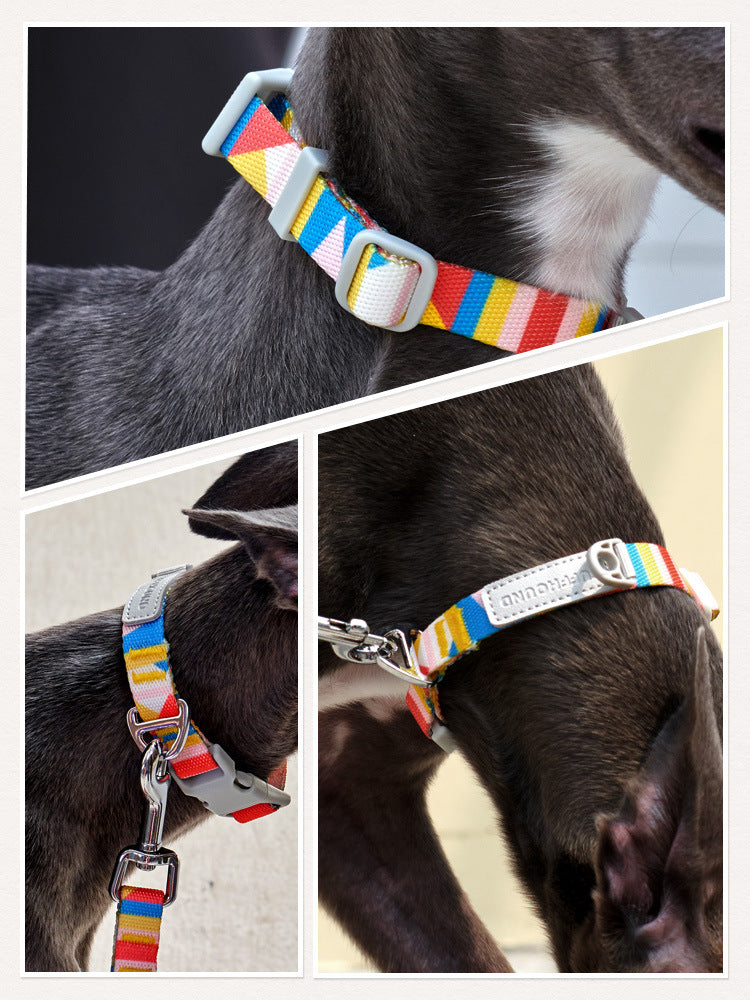 Nylon Dog Traction Belt