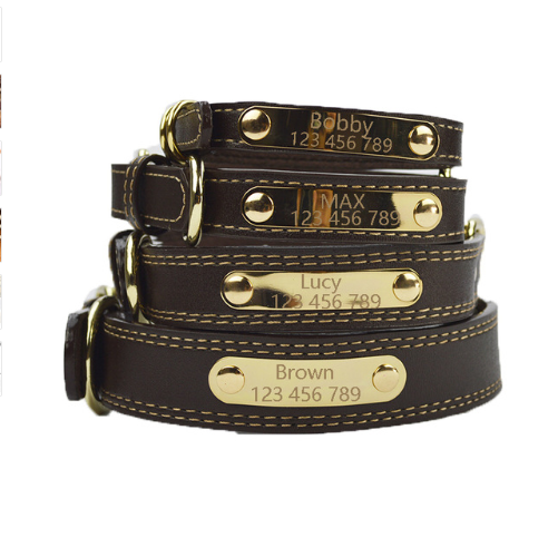 Lettering Dog Collar