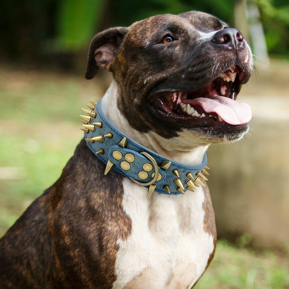 Fashion Protective Anti-Bite Collar Dog Chain