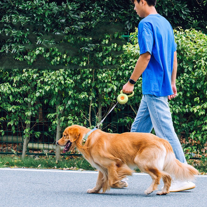 Retractable Reflective Dog Leash