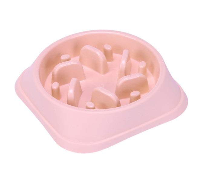 Slow Food Pet Bowl