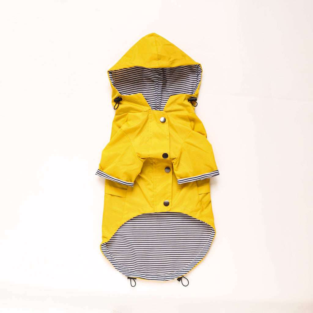 Windproof Waterproof Dog Raincoat