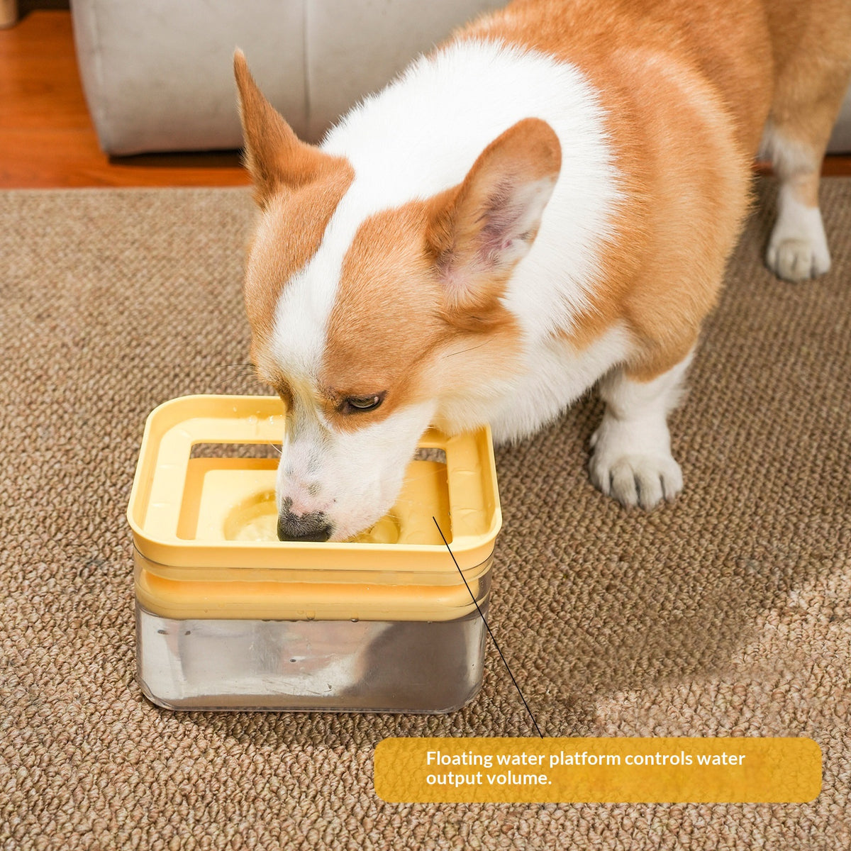 No-Wet Mouth Large-Capacity Automatic Pet Water Dispenser